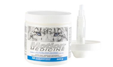 Motion Medicine - Clinic Size